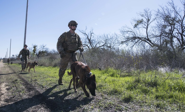 U.S. Air Force Security Forces military working dog handlers take part in the Air Education and Training Command Defender Challenge team tryout at Joint Base San Antonio-Medina Annex, Texas, Jan. 28, 2020. The five-day selection camp includes a physical fitness test, M-9 and M-4 weapons firing, the alpha warrior obstacle course, a ruck march and also includes a military working dog tryout as well. A total of 27 Airmen, including five MWD handlers and their canine partners, were invited to tryout for the team. The seven selectees to the AETC team will represent the First Command at the career field’s world-wide competition that will be held at JBSA-Camp Bullis in May 2020. (U.S. Air Force photo by Sarayuth Pinthong)